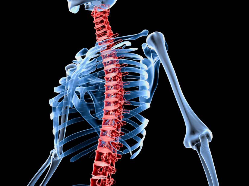 Профилактика болей спины